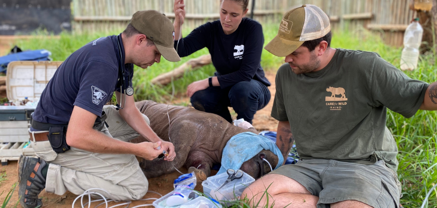 Aquazi- July Rhino Adoption